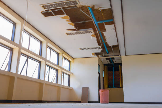 Best Flood restoration services  in Forestville, CA