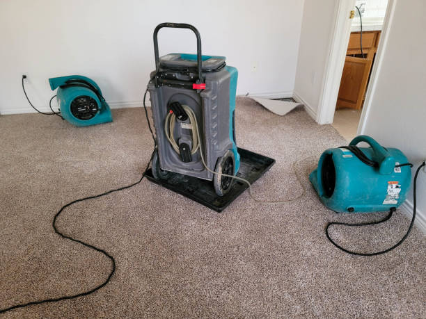 Best Water damage mitigation services  in Forestville, CA