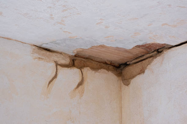 Best Water damage restoration near me  in Forestville, CA