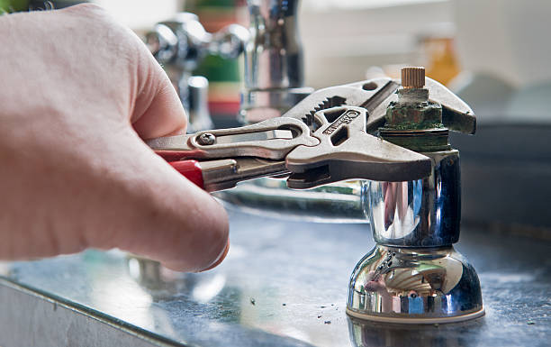 Best Professional water damage repair  in Forestville, CA