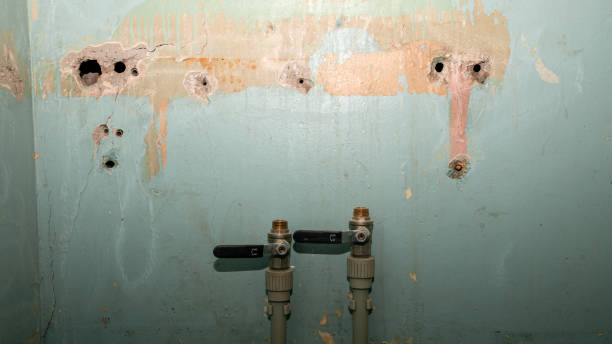 Best Basement water damage restoration  in Forestville, CA