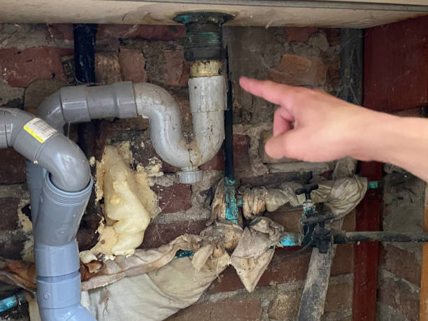 Best Residential water damage restoration  in Forestville, CA