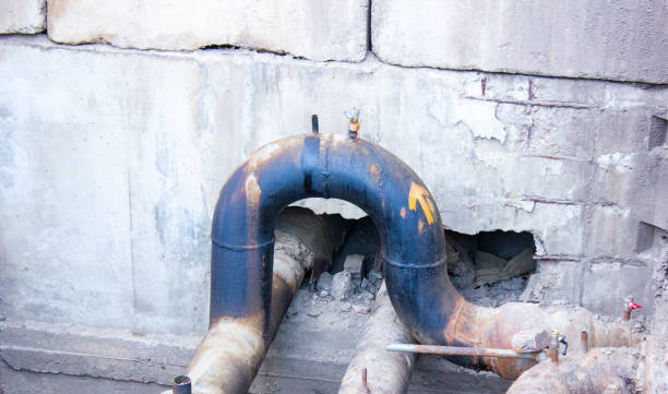 Best Local water damage restoration  in Forestville, CA