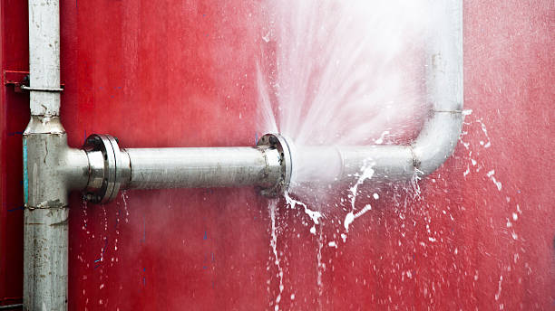 Best Water damage contractors near me  in Forestville, CA